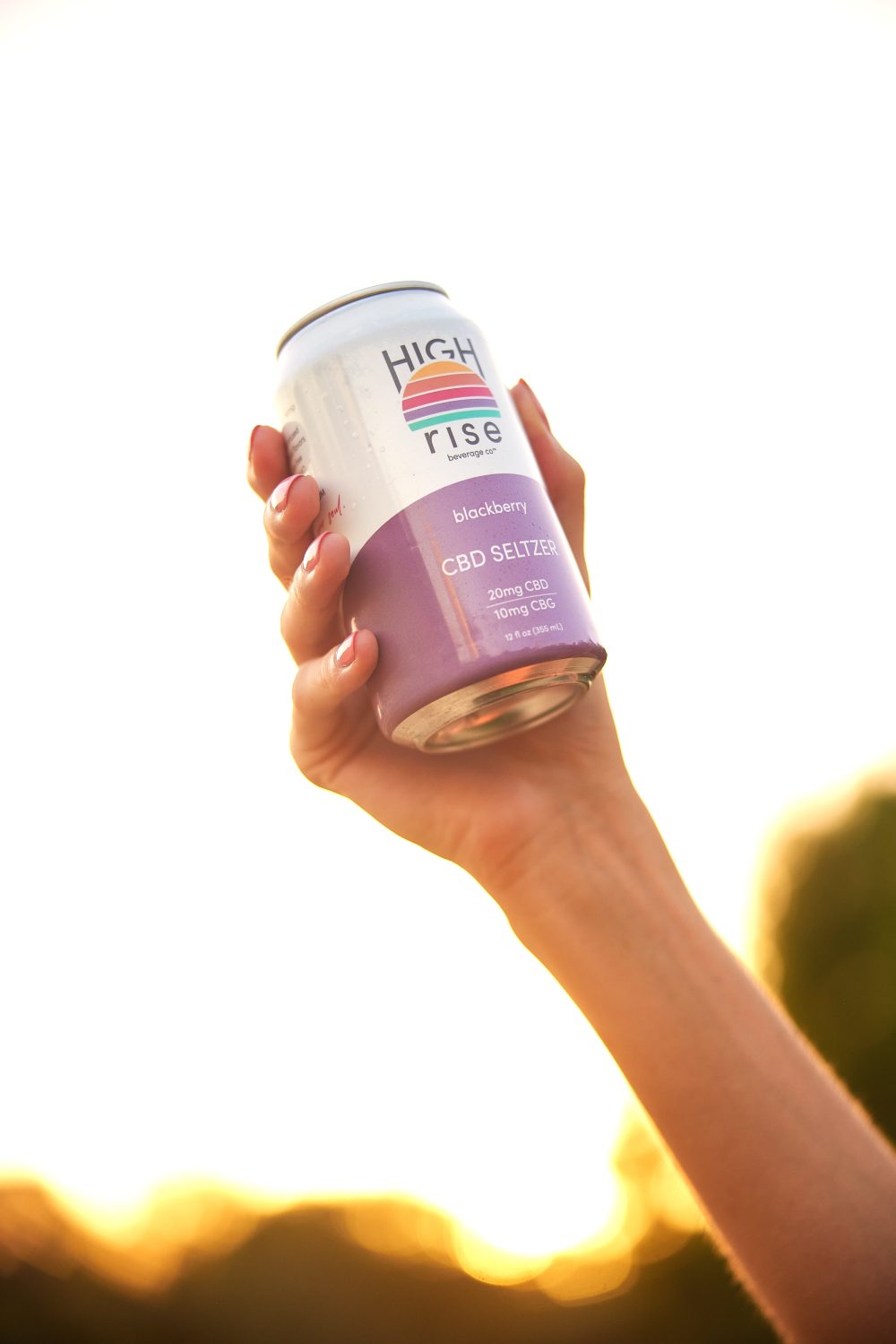High Rise Blackberry CBD Seltzer 5
