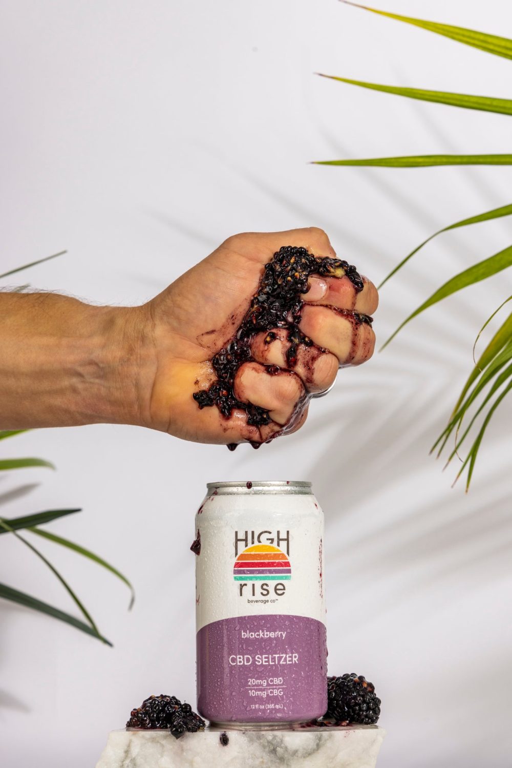 High Rise Blackberry CBD Seltzer 2